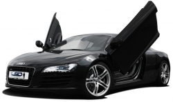 Vertikální otevírání dveří LSD Audi R8 typ 42 (04/07-)