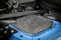 Kit přímého sání Forge Motorsport BMW 3-Series F80 M3 / 4-Series F82 M4 (14-)