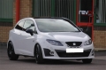 Úprava řídící jedntoky REVO Technik Stage 1 pro Seat Ibiza Cupra 6J 1.8TSI 192PS (09-)